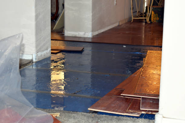 Professional Emergency Water Damage Restoration technician working in Roebling, NJ